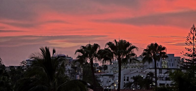 482807306_9384204341646789_5461831341579656238_n