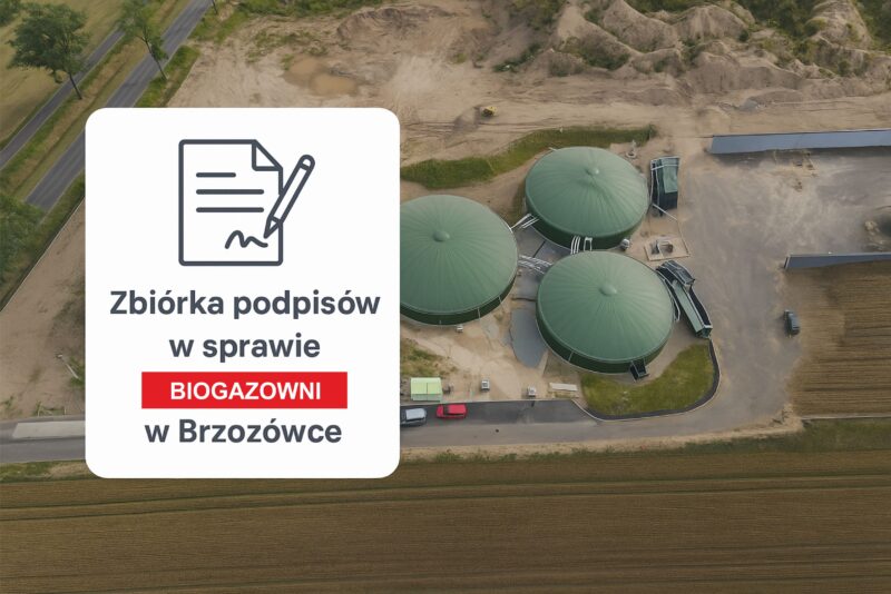 ChatGPT Image 31 paź 2025, 08_44_45-2