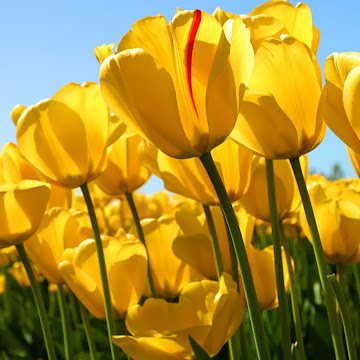 Zdjęcie profilowe iza