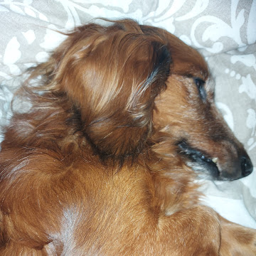 Zdjęcie profilowe gosiazet